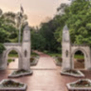 Meet your Posher, Ross